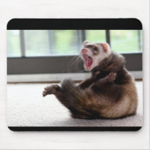 ferret mousepads