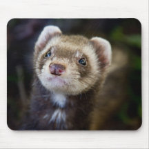 Ferret Mousepads