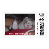 Ferret on my side postage