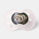 Ferret Pacifier