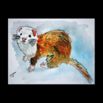 ferret painting post cards art pet portrait cards postcards