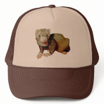 Ferret Picture Gift hats