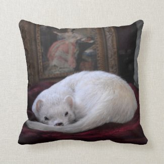 Ferret Pillow