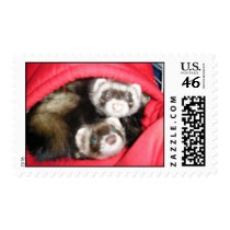 ferret postage