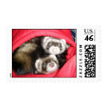 ferret postage
