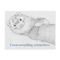 Ferret Postcard - Pandora Owns by RenaissanceFerret Ferret Postcard - Pandora Owns