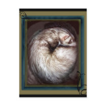 ferret postcards