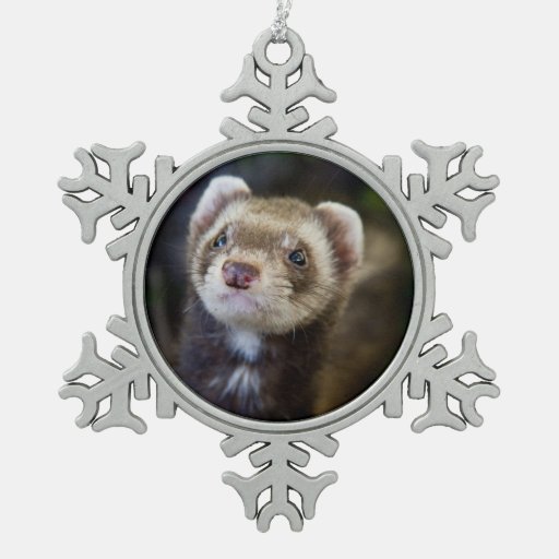 ferret snowflake pewter christmas ornament zazzle ferret snowflake pewter christmas ornament zazzle