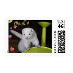 Ferret Spring Stamp