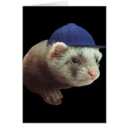 Ferret Wearing Hat Card card