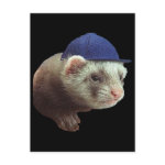 Ferret Wearing Hat postcard