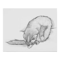 "Ferret Wheel" Ferret Drawing Poster posters
