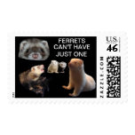FERRETS CAN'T HAVE JUST ONE postage