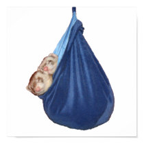 Ferrets In A Sleeping Bag Poster posters