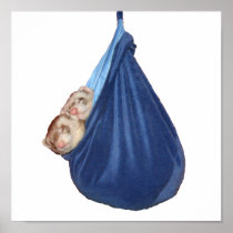 Ferrets In A Sleeping Bag Poster