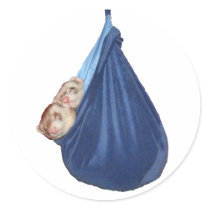 Ferrets In A Sleeping Bag Stickers by quokka Ferrets In A Sleeping Bag Stickers