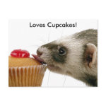 Ferrets Love Cupcakes postcard
