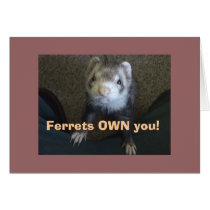 Ferrets Own You! cards