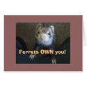 Ferrets Own You! cards by mmfitzpatrick Ferrets Own You! cards