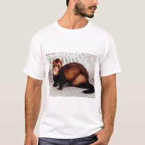 ferrets t-shirts