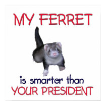 FerretSmarter posters by wolfmama FerretSmarter posters