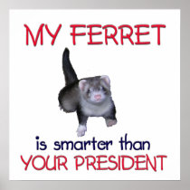 FerretSmarter Poster