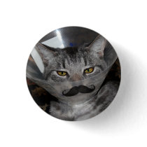 ferris mewler moustache button