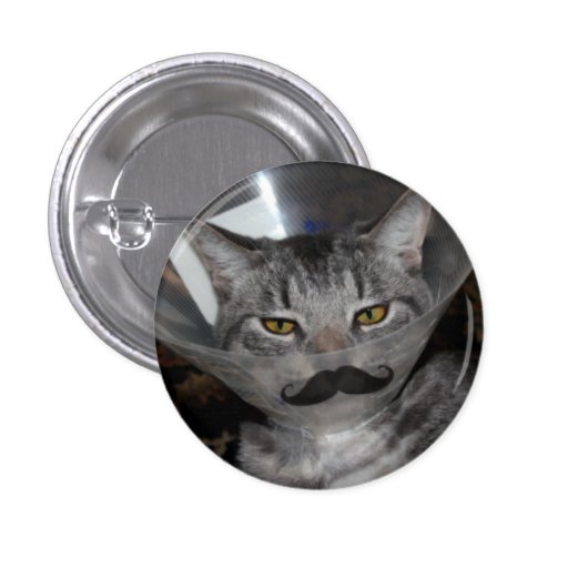 ferris mewler moustache button