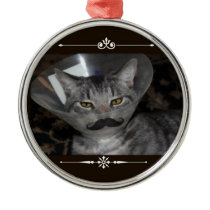 Ferris Mewler moustache ornament ornaments