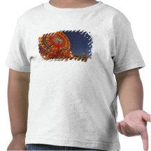 Ferris wheel at dusk at the Northwest Montana Tee Shirts