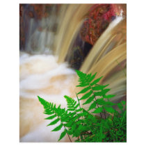 Ferrous thermal water custom flyer