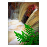 Ferrous thermal water greeting cards