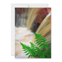 Ferrous thermal water announcement