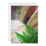 Ferrous thermal water announcement