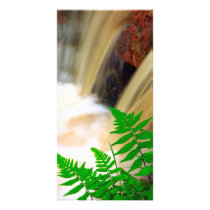 Ferrous thermal water photo card
