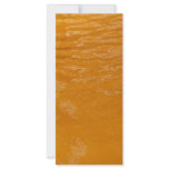 Ferrous Thermal Water Rack Card Design