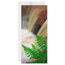 Ferrous thermal water custom rack card