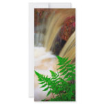 Ferrous thermal water custom rack card