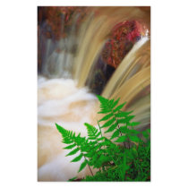 Ferrous thermal water customized stationery