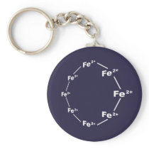 Ferrous Wheel Key Chain