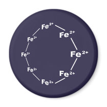 Ferrous Wheel Fridge Magnets