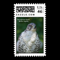 Ferruginous Hawk  (Buteo regalis) postage stamps