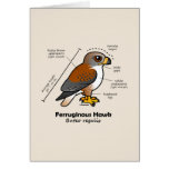 Ferruginous Hawk Statistics Cards