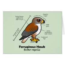 Ferruginous Hawk Statistics Greeting Card