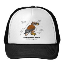 Ferruginous Hawk Statistics Hat