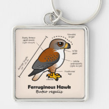 Ferruginous Hawk Statistics Keychains