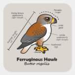 Ferruginous Hawk Statistics Square Stickers