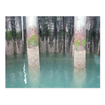 Ferry Dock Pilings Postcards