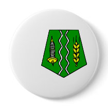 Fes, Morocco Pinback Button