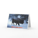 Festive Buffalo cards by FULL_CIRCLE Festive Buffalo cards
